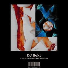 ANTIDOTE Premiere: DJ Sekt - COMPUTERFUNK (Egotot Remix) [INSTINKTLAB013]