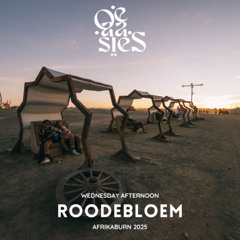 Roodebloem - OE-AA-SIES - Wednesday Afternoon @ Afrikaburn 2025