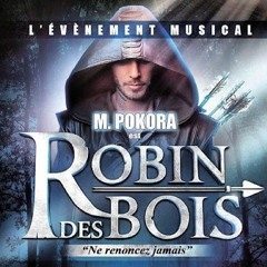 Robin Des Bois Album 2013 Complet Music Torrent M Pokora