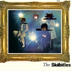 The Skibitles - Skibidi Fields Forever