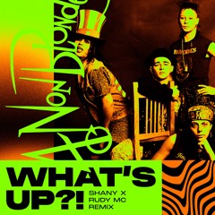 4 Non Blondes - What's Up (Shany X Rudy MC Remix) [FREE DOWNLOAD]
