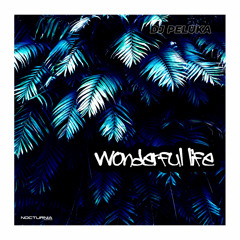 Wonderful Life (Retro Essences Mix)