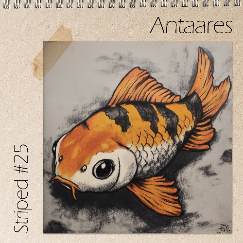 Striped #25 - Antaares