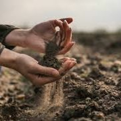 Earthy hands