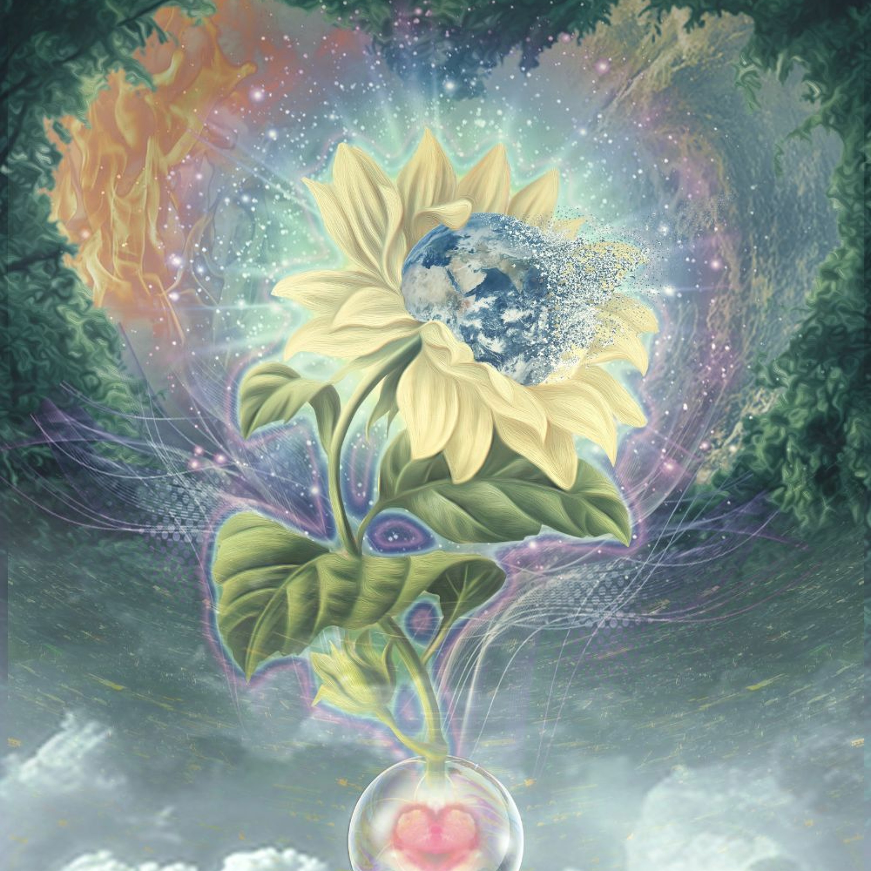 Dimensional Shift
