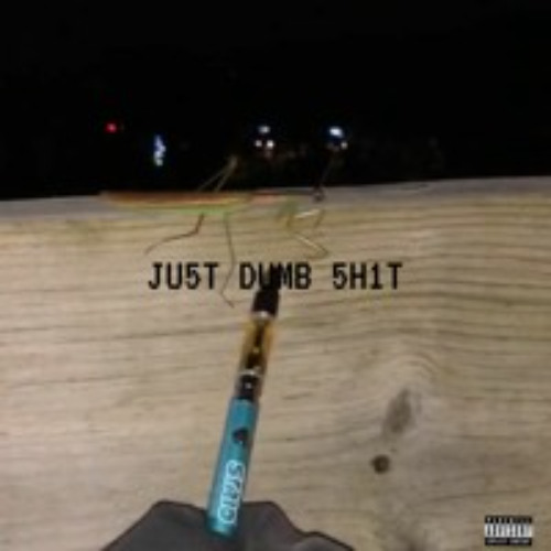 JU5T DUMB 5H1T Prod. bapop