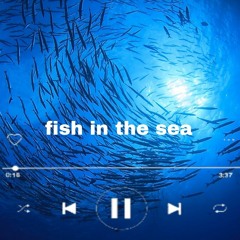 fish in the sea
