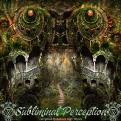 Introspection - V.A Subliminal Perception