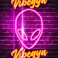 House Classic Vibegyn