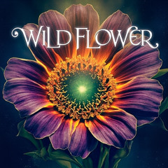 Wild Hype Vivid Mirror