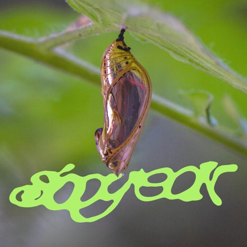 Premiere: sooyeon 'body (crash out)'