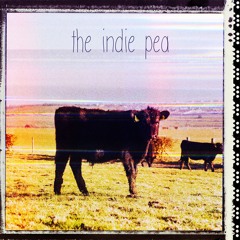 The Indie Pea - Keep Holding On