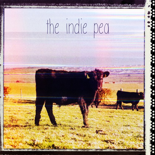 The Indie Pea - Keep Holding On