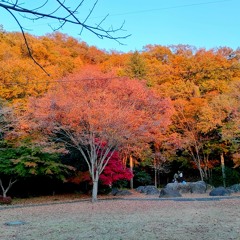 See the sky