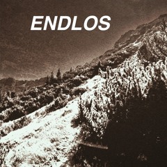 Endlos extended version