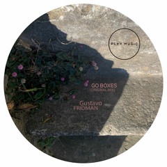 Go Boxes (Original Mix) - Gustavo Fridman