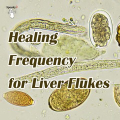 Healing Frequency for Liver Flukes - Spooky2 Rife Frequencies