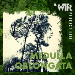WIR Podcast #036 - Medulla Oblongata
