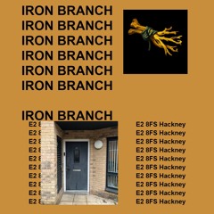 Iron Branch