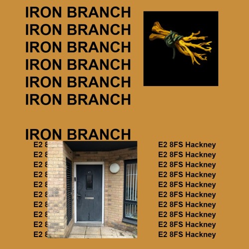 Iron Branch
