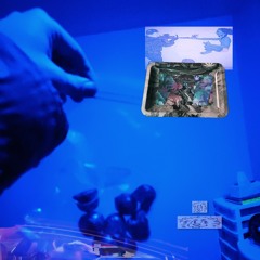 Track 4 (Bounced, 31).wav