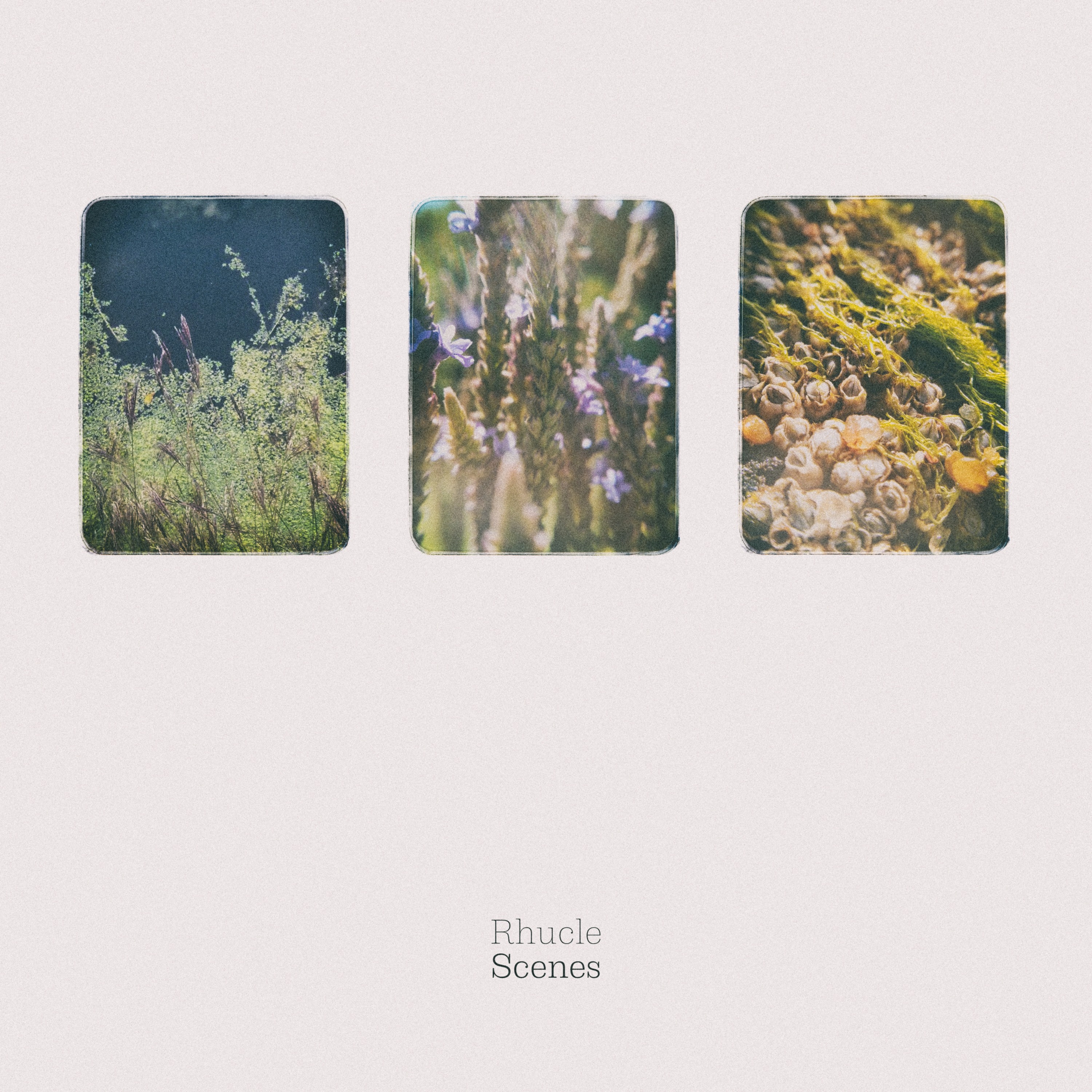 Stereoscenic Records