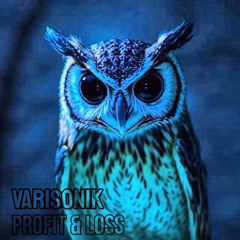VARISONIK - Profit and Loss (2026)