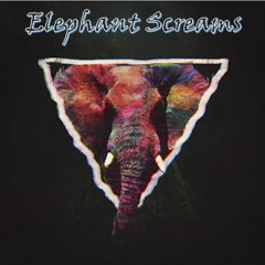 Elephant Screams