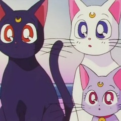 LVL1 - FVN! (slowed + Reverb) Cat Kitty