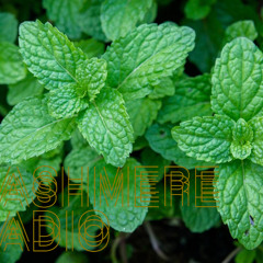@ Cashmere Radio - Minty Fresh w/ peppermintphil #3 - HighLife