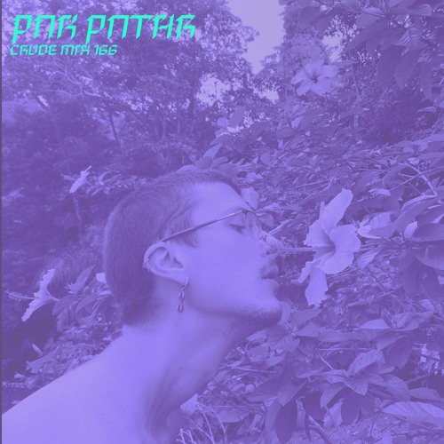 CRUDE MIX 166 - pnk pnthr