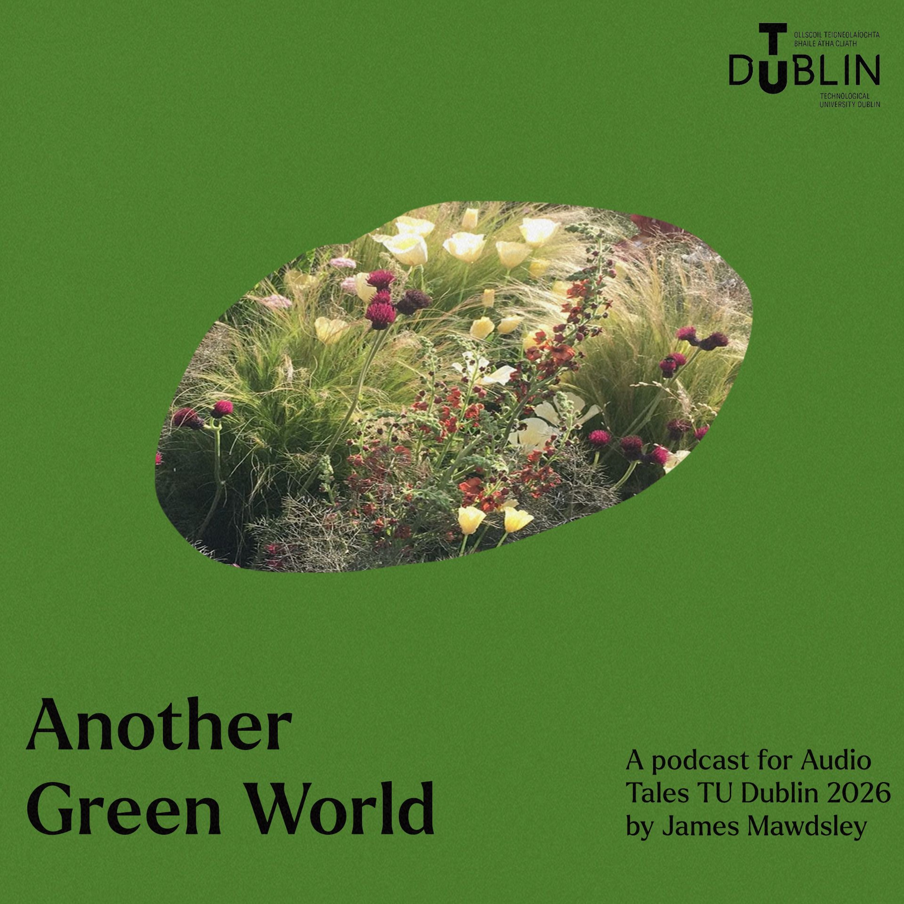 Another Green World -episode 1 episode artwork
