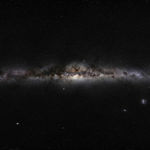 Insane Enough To Live