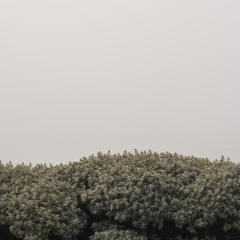 Deric- Treat you the best (slowed/reverbed)(prod. olivereastonn)