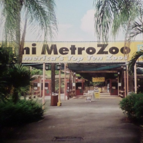 METRO ZU MIXX [ DJ ZELD4H ] FEB2024