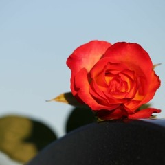 Ich Vermisse Dich (Never Ended)