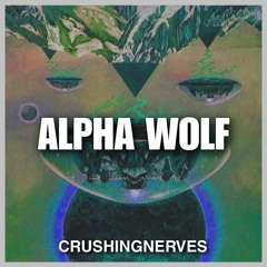 Alpha Wolf