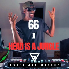 66 X Head Is A Jungle (Swift Jay)