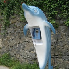 i ran to your house wip whatever