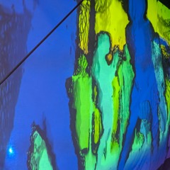 06 Clean Yourself - Dev Uthani Ekadashi (Renaissance 25-26)