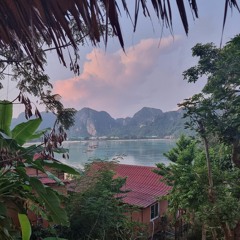 Global Transient Amnesia