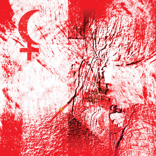 STRAY PATH (REMASTERED)