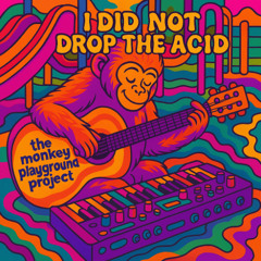 I Did Not Drop the Acid