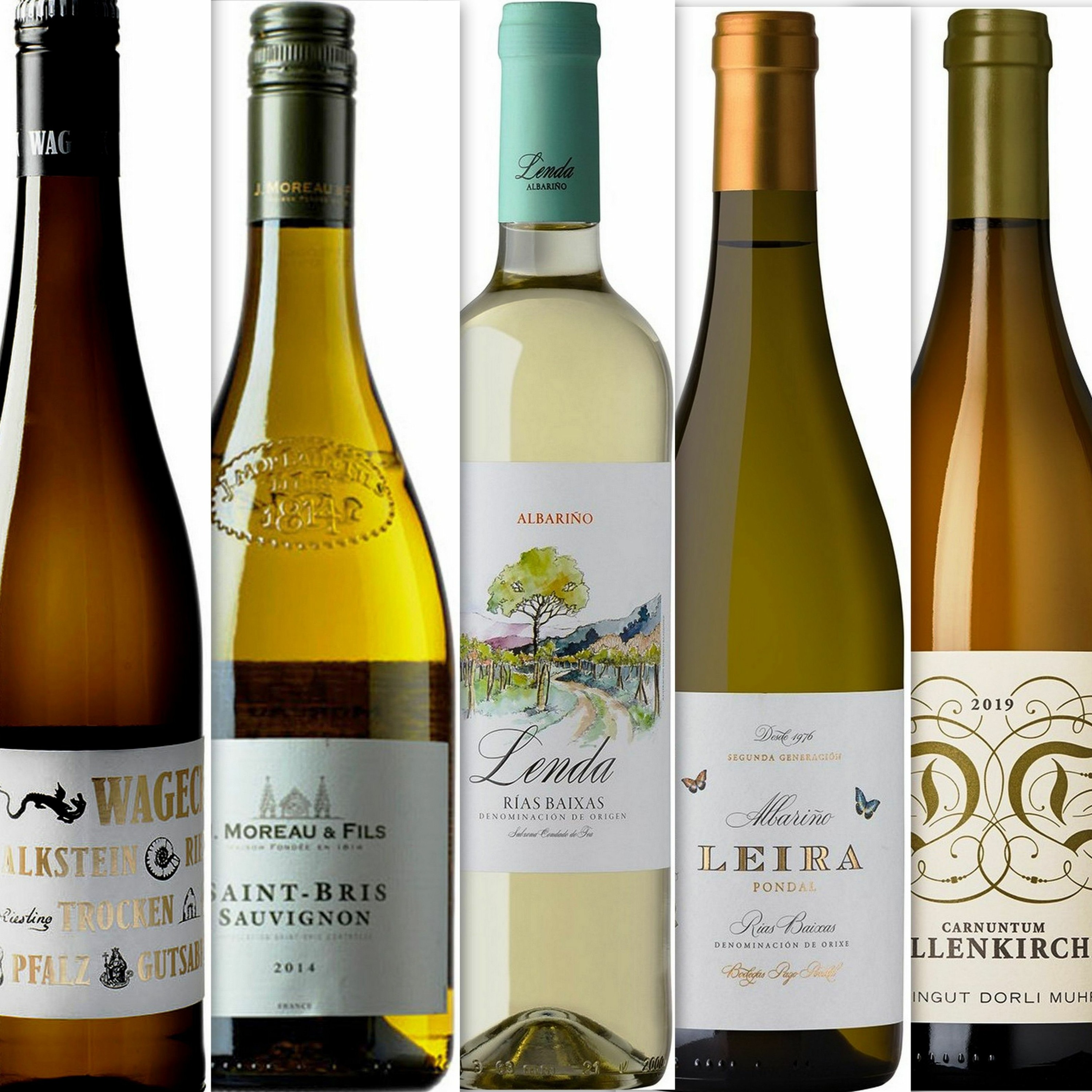 Vin- og matopplevelser