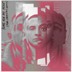 Home For My Heart (Vibe Chemistry Remix) [feat. Cat Burns]