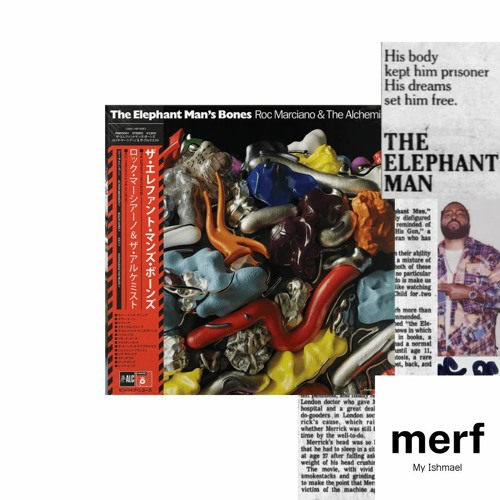 [Free] Drumless The Alchemist x Roc Marciano type beat "My Ishmael" (prod. merf) 2023