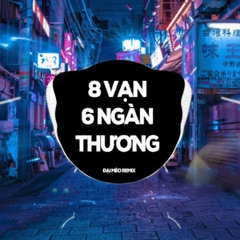 8 VẠN 6 NGÀN THƯƠNG REMIX - HẠO THIÊN ( ĐẠI MÈO REMIX )