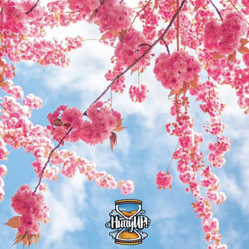 BaeMacs - Don’t Let Go (Prod. by Jeff)