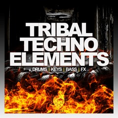 LS047 Tribal Techno Elements