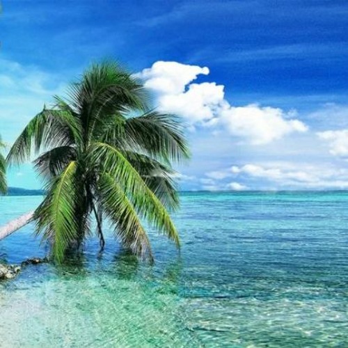 Alorsondance background loop DOWNLOAD
